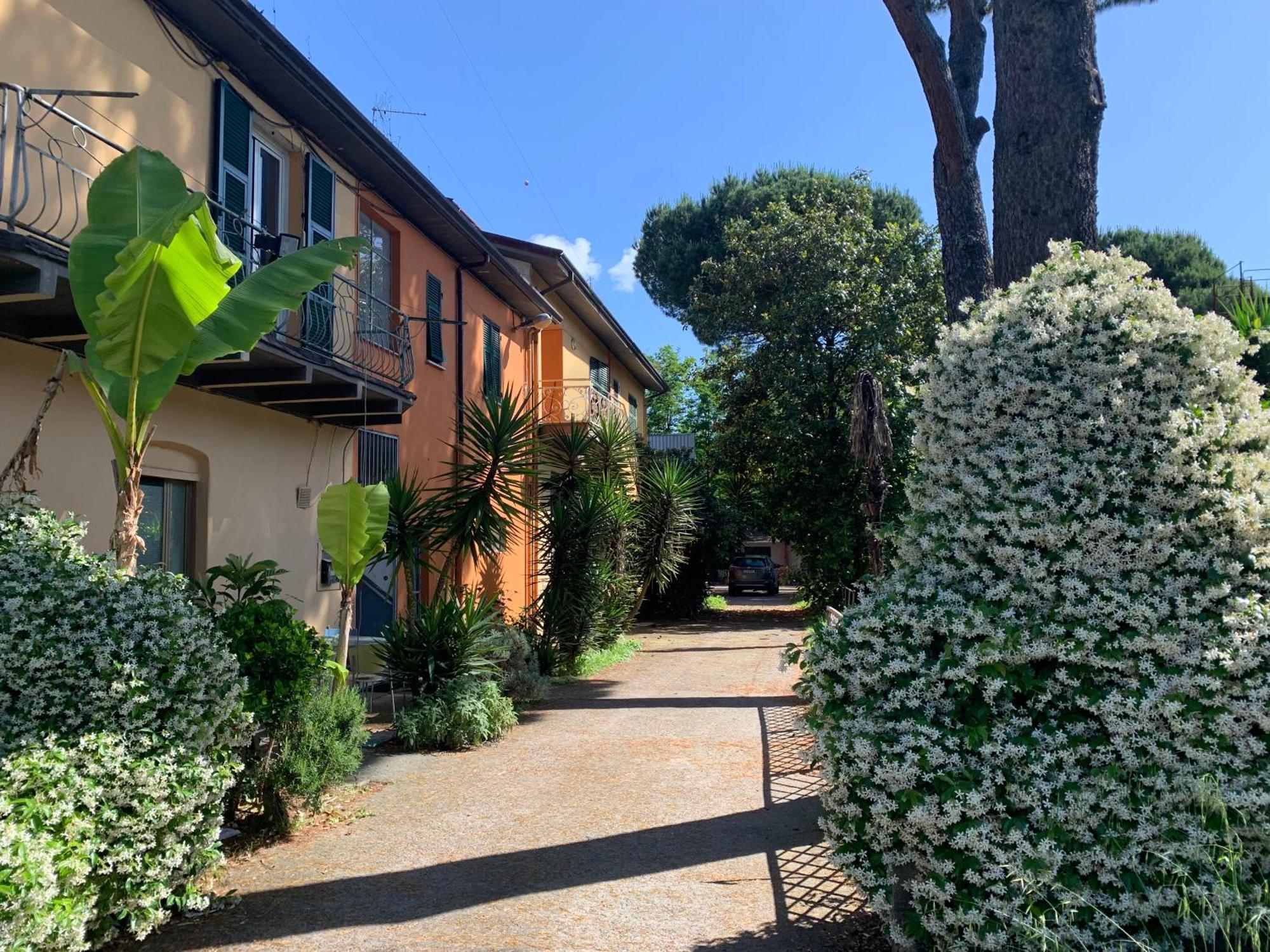 Vara Motel Self Check In Ceparana Exterior photo